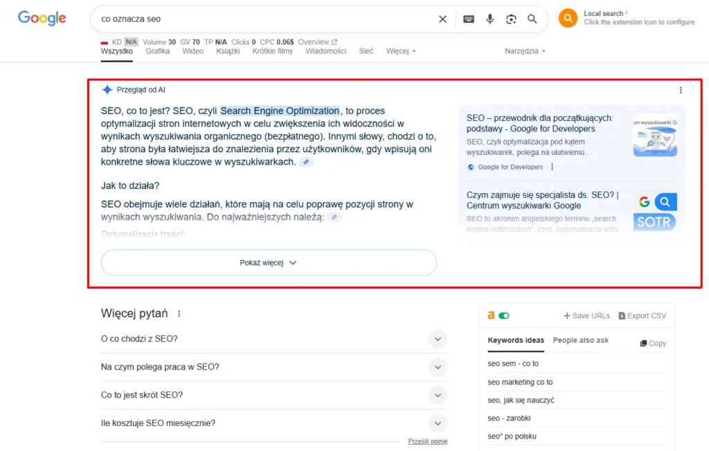 Google AI Overview